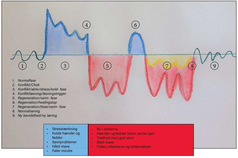 META sundhed tidslinje tegnet af Benthe D. M. Bagshaw, der viser de forskellige faser i traumeterapi